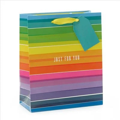 Gift Bag Medium - Rainbow Stripe