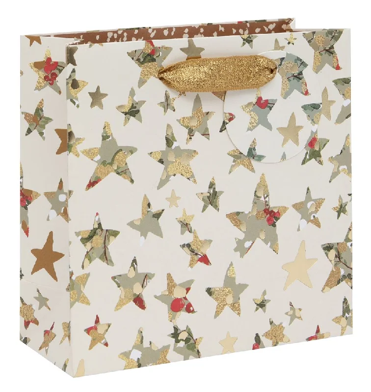 Christmas Gift Bag - Small Stars